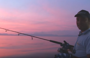 Italcanna JIG KILLER-Video e caratteristiche Video italcanna jig killer