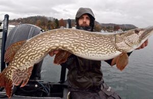 Pesca a Spinning di GRANDI LUCCI sul Lago Maggiore