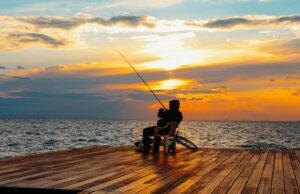 Guida alla pesca a feeder feeder pesca