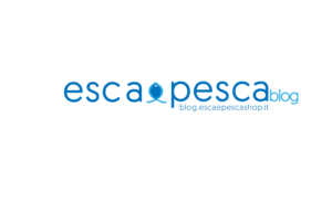La nostra intervista al Corriere dell’Economia ESCAEPESCABLOG