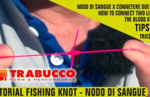 Nodi per la pesca sportiva: guida rapida ai nodi più difficili nodi pesca