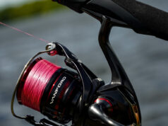 Recensione mulinello Shimano Vanford mulinello Shimano Vanford