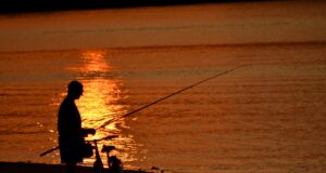 Il consiglio della FIPSAS per la pesca nelle regioni rosse e arancioni consiglio pesca sportiva