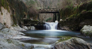A Pesca nel Fiume Versilia: Un Paradiso Nascosto