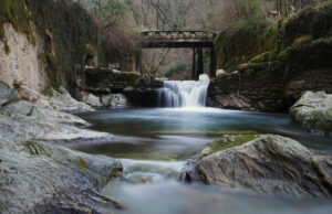 A Pesca nel Fiume Versilia: Un Paradiso Nascosto