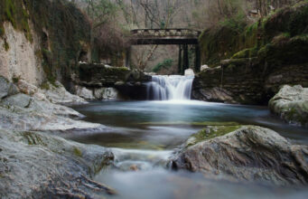 A Pesca nel Fiume Versilia: Un Paradiso Nascosto