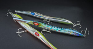 Il Balosso Seaspin: Un Must-Have per gli Spinninghisti