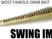 Keitech Swing Impact e Mad Wag: Le Armi Segrete per Insidiare la Spigola