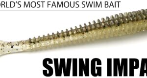 Keitech Swing Impact e Mad Wag: Le Armi Segrete per Insidiare la Spigola