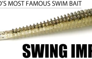 Keitech Swing Impact e Mad Wag: Le Armi Segrete per Insidiare la Spigola